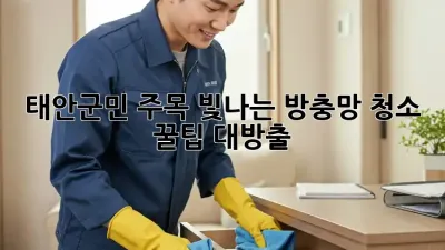 ✨ 태안군민 주목! 빛나는 방충망 청소 꿀팁 대방출 🧽