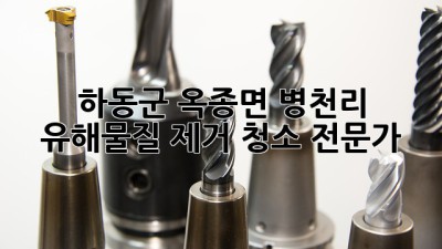 하동군 옥종면 병천리 유해물질 제거 청소 전문가
