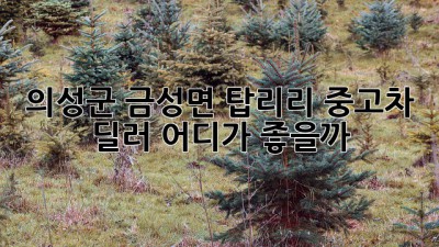 의성군 금성면 탑리리 중고차 딜러, 어디가 좋을까? 🤔